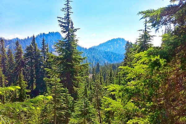 Grizzly Peak, Pacific Crest Trail | Cascade Range