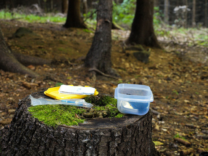 Geocaching in the woods