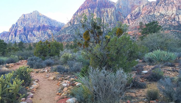 Pine Creek Canyon, Red Rock Canyon| Las Vegas, NV
