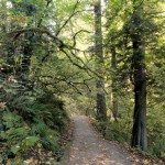10 Haunted Hiking Trails in Oregon