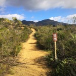 Visitor Center Loop, Mission Trails | San Diego, CA