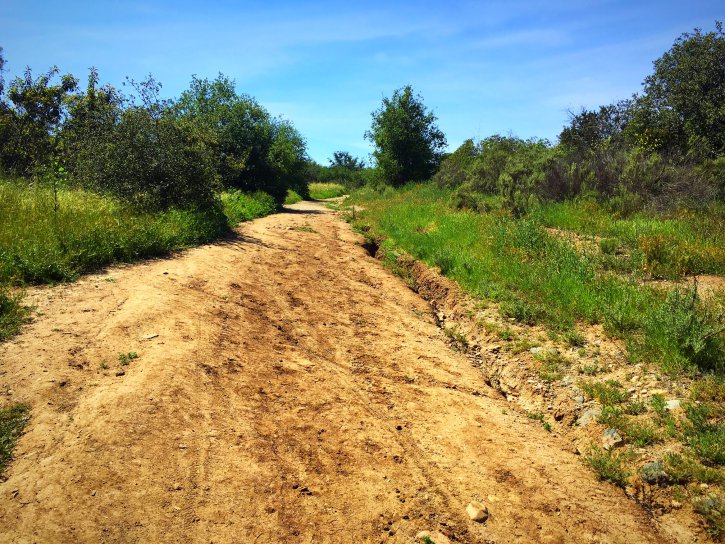 Closing the loop trail