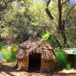 Oak Grove Loop Trail, Mission Trails | San Diego, CA