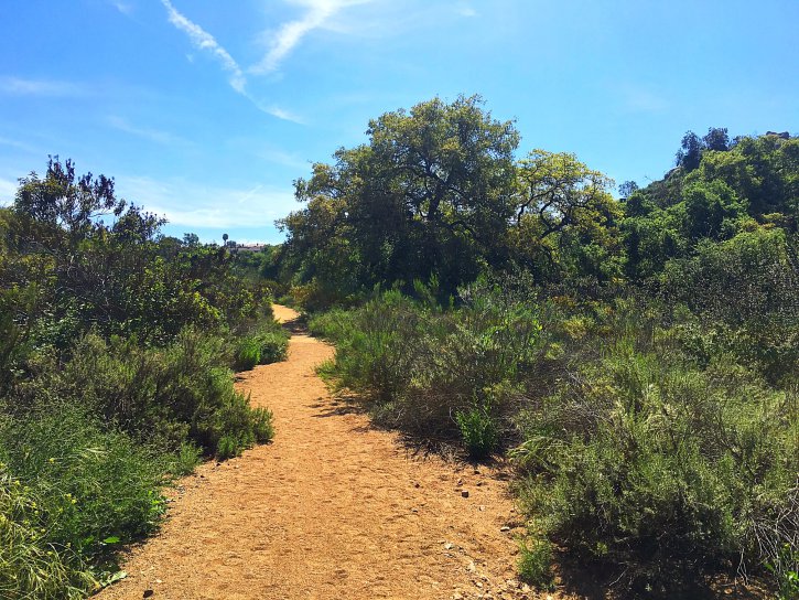 Along the trail