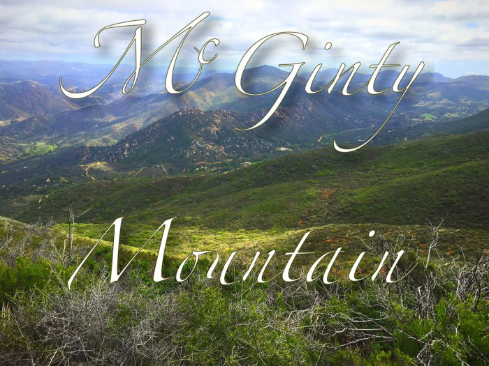 McGinty Mountain