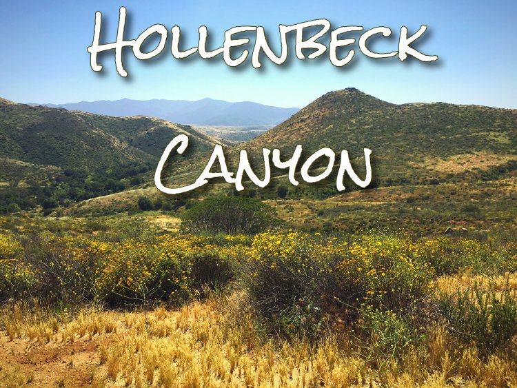 Hollenbeck Canyon Trail Hike