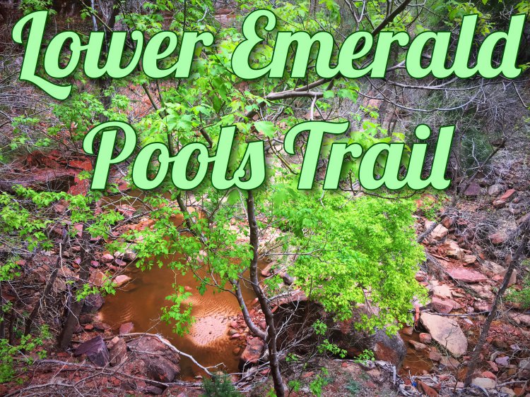 Lower Emerald Pool Trail