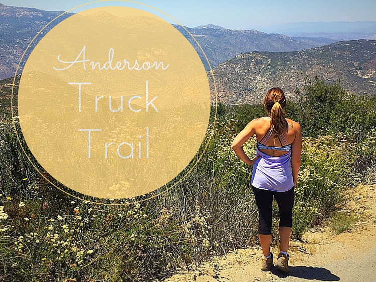 Anderson truck trail header