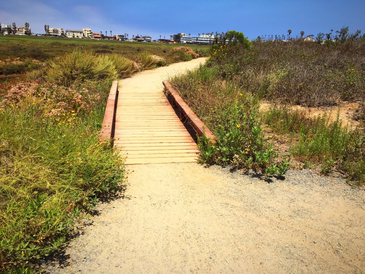 Tijuana Estuary trails