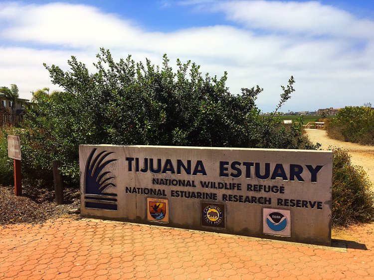 Tijuana Estuary