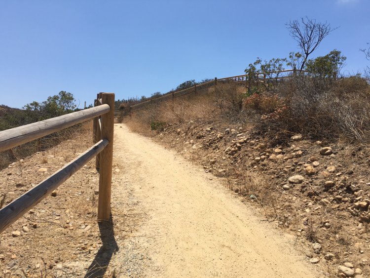 fence on trail