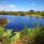 River Trail, Tijuana River Valley Regional Park | San Diego, CA