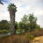 Lake Miramar Loop Trail | San Diego, CA