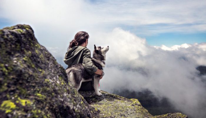 10 Rules to Abide by When Hiking with Your Dog
