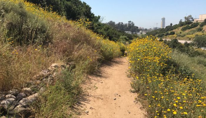 Balboa Park Trail #13, Morley Field Gateway | San Diego, CA
