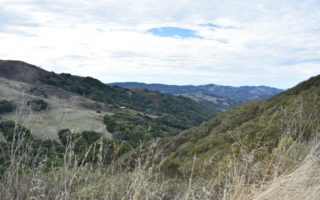 Bollinger Creek Loop Trail, Las Trampas Regional Wilderness | San Ramon, CA